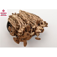 干茶树菇100克 เห็ดแห้ง 剪脚干茶树菇茶薪菇