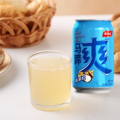 杨协成马蹄爽300ml/罐饮料  น้ำแห้ว ตรา