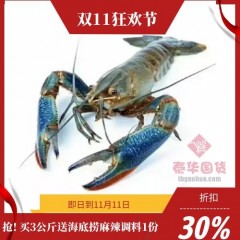 【生鲜预售】小龙虾1kg  预定3天后发货（满3kg送海底捞麻辣调料包）曼谷市区摩的发货